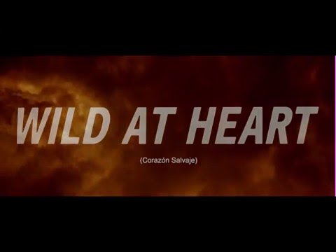Corazón Salvaje