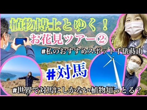 国際社会学科 【対馬の春】植物博士と行くお花見ツアー第2弾🌷世界で対馬だけの植物も😲