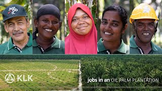 Jobs In An Oil Palm Plantation