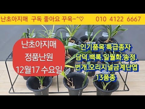 유튜브 썸네일