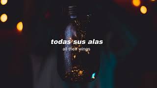 AG - Shine A Light (feat. Connie Lim) Lyrics en Español