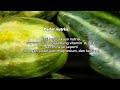 Sayur Timun Krai Bendoyo