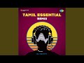 Mobila Mobila Remix
