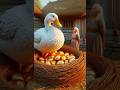 La Abuela Y El Pato De Los Huevos De Oro Una Trágica Lección Datoscuriosos Historias Dias