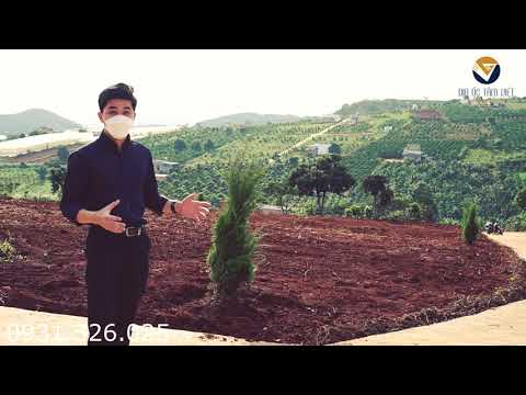 Cần bán 620m2 - 100 thổ cư tại Lâm Hà - Lâm Đồng