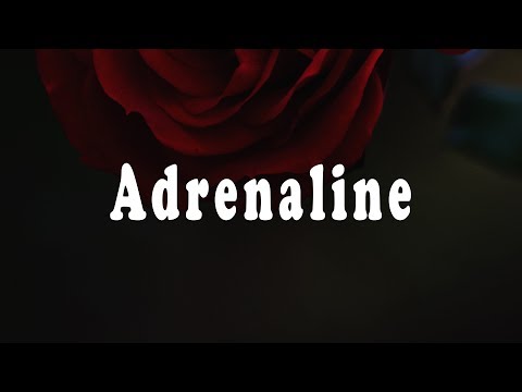 VENIICE x Miles Away x Karra - Adrenaline (Lyrics)