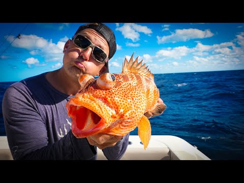 SUCCULENT SEAFOOD "INDIAN STYLE" {Catch Clean Cook} Punjabi Tandoori *Authentic Indian Recipe*