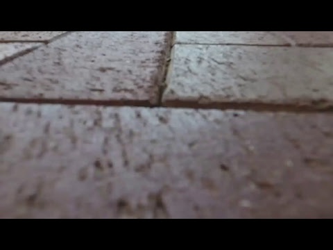 Pool Party at Anna Summer Events!