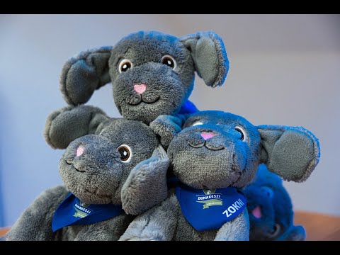 Dunakeszi Város dala