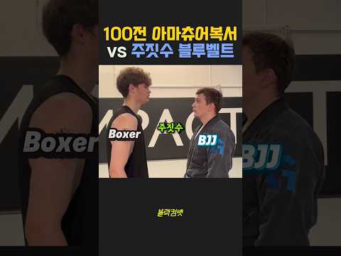 아마추어 복싱 vs 주짓수 블루벨트