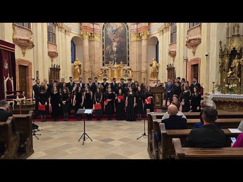 Concert de Paste - Amicus Timisoara