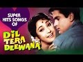 Dil Tera Deewana Hindi Songs Collection - Shammi Kapoor | Mala Sinha | Lata Mangeshkar Dil Tera Deewana Hindi Songs Collection - Shammi Kapoor | Mala Sinha | Lata Mangeshkar