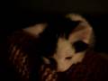 Milky S First Day Home