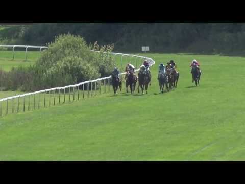 KV, 23. 7. 2017, 4. dostih - Cena RENOMIA AGRO