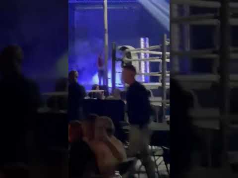 White collar fight Megan Watson