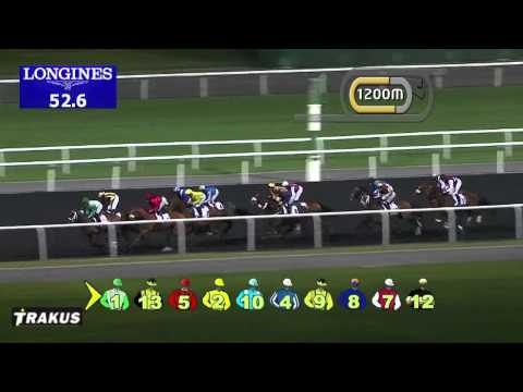 01.02.2014 Meydan (Dubai-UAE) 2.Race Al Naboodah Travel Camp - Handicap 2.000 m