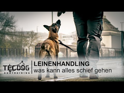 Leash handling, what can go wrong