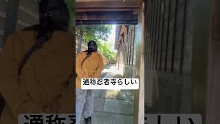 実はこのお寺忍者とは関わりはないらしい#shorts