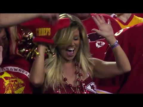 The 2014 New England Patriots: Super Bowl XLIX Champion