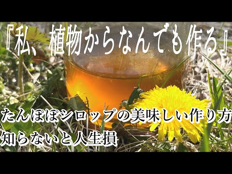 庭で採れたタンポポを食べてもいいですか？彼らの利点は何ですか?どのように選んで保管すればよいでしょうか？  庭園