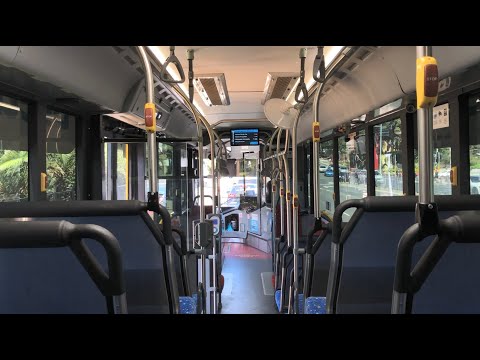 [Transdev Upper North Shore] BYD K9A (Volgren Optimus) - m/o 8187