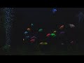 Beautiful Aquarium At Night No Music 10 Hour Sleep Sound Full HD