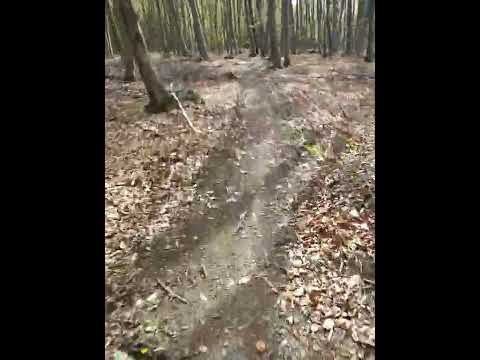 Poteca Viscri-Sighisoara,zona Sapartoc