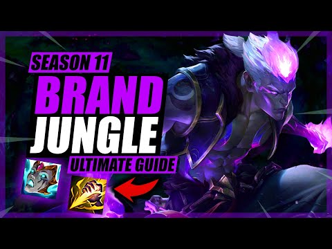 ULTIMATE SEASON 11 BRAND JUNGLE GUIDE | Everything You Need to Know