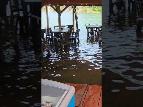 Restaurantes de Apastepeque entre aguas