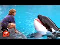 Free Willy New Best Friends