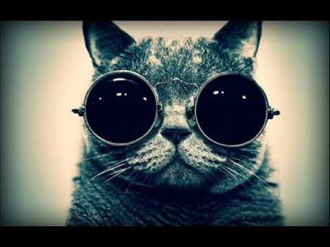 ✯ ♫ KLUBOWA POMPA / OSTRA VIXA CZERWIEC 2019 ♫ ✯ / KONIURA ;D