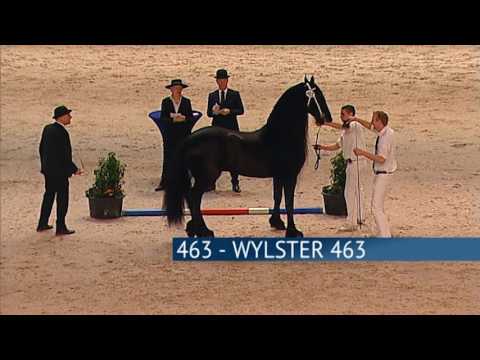 Hengstenkeuring 2017 – Rubriek 04