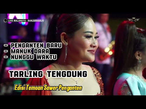 PENGANTEN BARU ~ MANUK DARA SEPASANG // CITRA NADA LIVE MALAHAYU (BLOK 2) // BANJARHARJO - BREBES