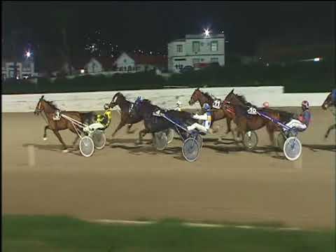 Trotto 19/01/2018 - 7ª corsa