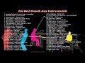 70s 80s Best Smooth Jazz Instrumentals Jazz Fusion Classics Retro Jazz Favorites