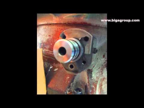 Biga Group-Repair of mechanical damage