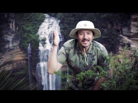 TONO SLONO VS TANTR SLANGRR / JUST NIIKU KELASIN / 2017