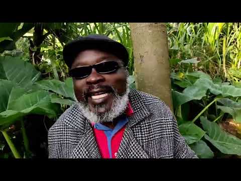 CHINGERO NA PAPA SIKO THE BIRD LIVE - BENGA ITAMBE BENGA IBAMBE