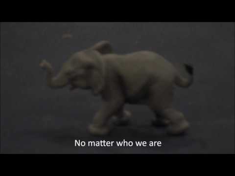 Elephant in the room campaign 2016-17