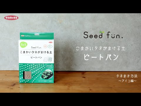 園芸 タスマニアペッパー