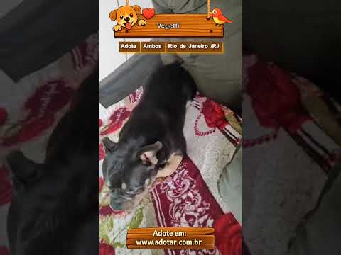 Vídeo de Vegetti