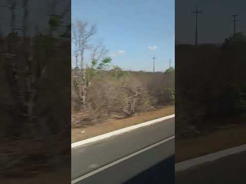 Pelas estradas de São João da Fronteira-PI