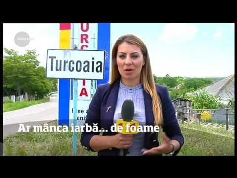Caz şocant în judeţul Tulcea. O copilă de 13 ani ar fi ajuns să mănânce iarbă