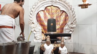 Tamil New Year Abishegam at Sri Sivan Temple On 14