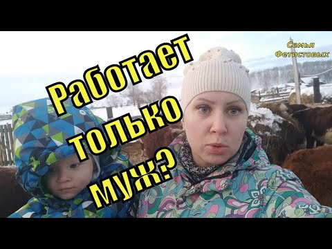 Чем занимаемся? Кто из нас работает?/ Семья Фетистовых