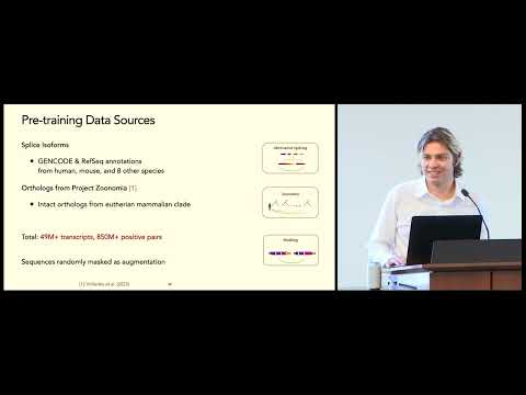Orthrus: Towards Evolutionary and Functional RNA Foundation Models