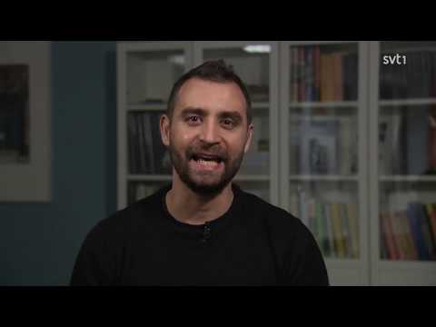 Cannabisdebatt i Opinion Live 2018 - Forskare tar död på inkörsportsteorin en gång för alla