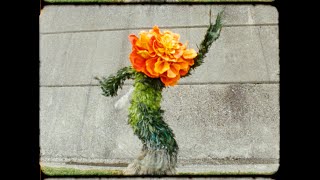 Saintseneca – Sweet Nothing