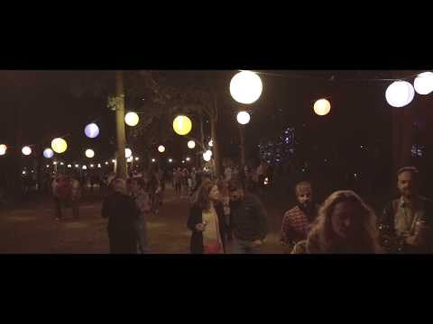 The Wild Wood Disco 2019 Highlights (full length video)