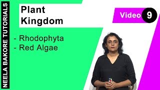 Plant Kingdom | NEET | Rhodophyta - Red Algae | Neela Bakore Tutorials